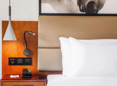 Radisson Blu, Tashkent - 26