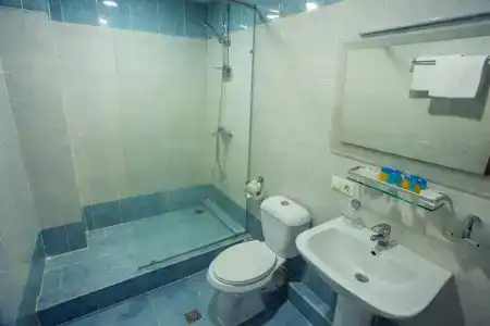 Ani Central Inn - 41