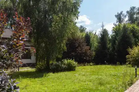 Звезда 2000 - 42