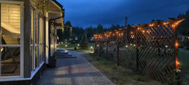 Магия леса в Беловежской пуще - 82