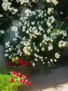 Hillside Guest House - 49