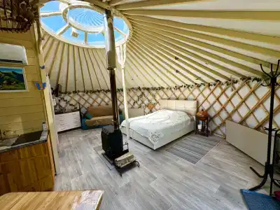 Дикая земля - 13