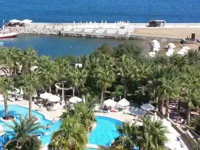 Oscar on a Sandy Beach & Casino - 7