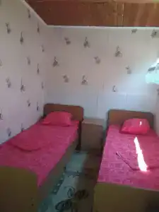 Под пальмой - 65
