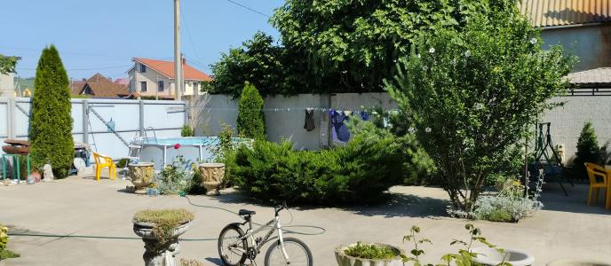 У Владимира - 4