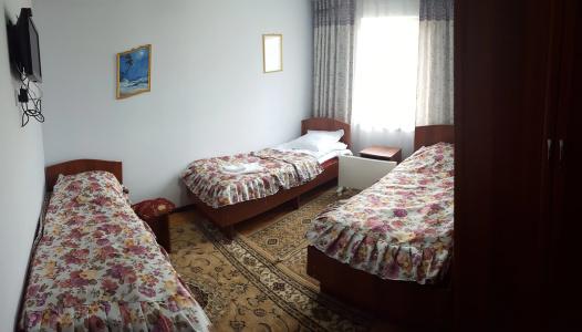Park&Hostel - 23