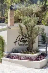 Alesta Yacht - 19