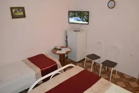 Астра - 9
