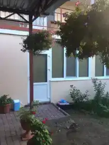 Амир - 0