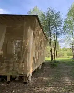 Звездный лес - 8