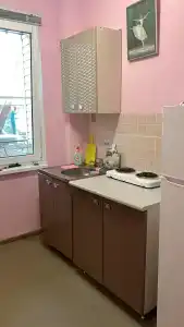 Магнолия - 17