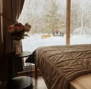 Загородный дом в окружении леса - 4
