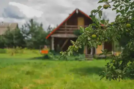 Дом с камином и баней на дровах - 8