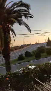 У Риты - 9