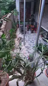 Riverside Guest House - 5