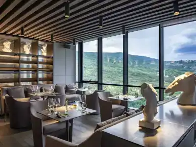 Pullman Tbilisi Axis Towers - 13