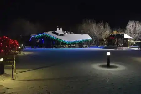 Подсолнух - 36