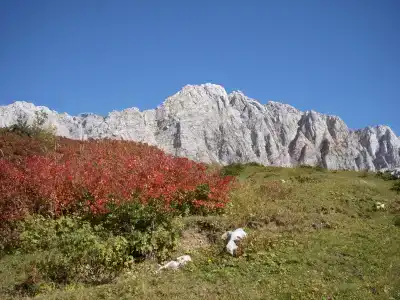 Фишт - 12