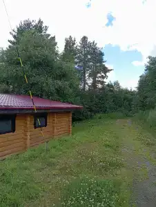 Лось - 3