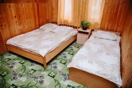 Динамо 2 - 83