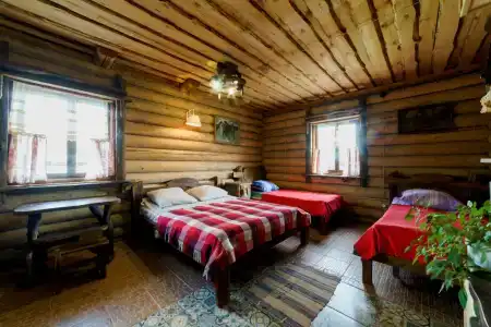 Медведь - 122