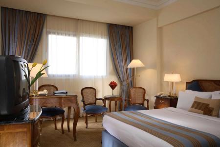Sonesta Tower & Casino Cairo - 19