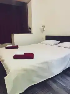 Снегири - 1