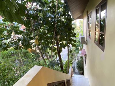 Samui Green Life - 53