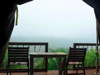 Khaosok Boutique Camps - 157