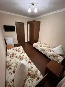 Кипарис - 20