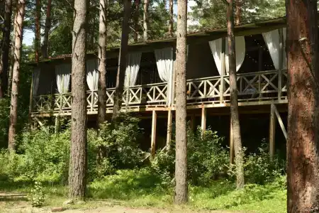 Сердце Алтая - 13