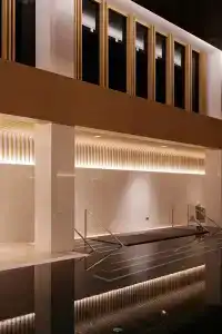 Waldorf Astoria - 13