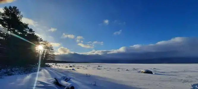 Гостевой дом - 31