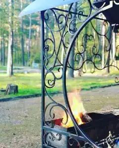Чайка - 6