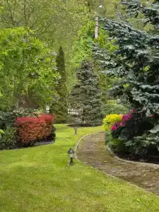 Вилла Вишня - 0
