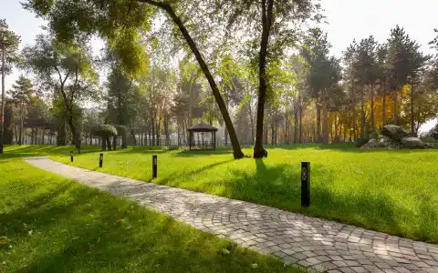 Swissôtel Wellness Resort Alatau Almaty - 5