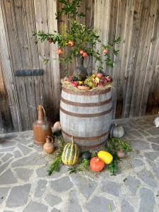 Sazano Wine Cellar & - 30
