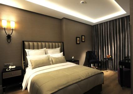 Le Petit Palace - Special Category - 38