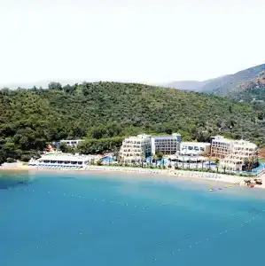 Paloma Pasha - 4