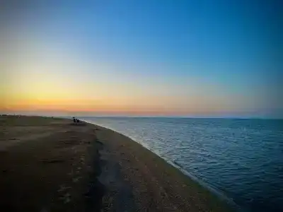 Жасмин - 7