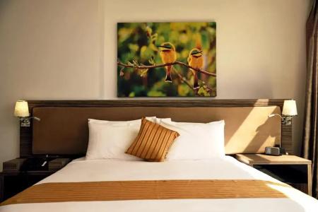 Golden Tulip - 3