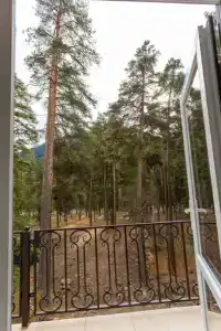 СнегинЪ - 4