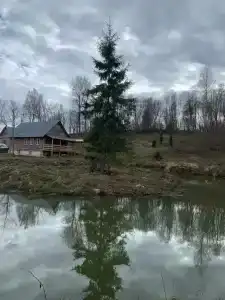 Изба Пасечника - Медовый - 14