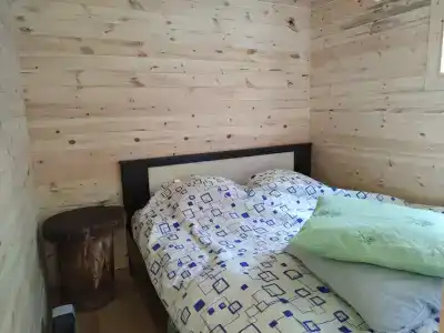 Байкальский кедр - 0