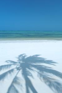 The Palms Zanzibar - 7