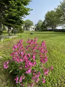 Bay House - 30
