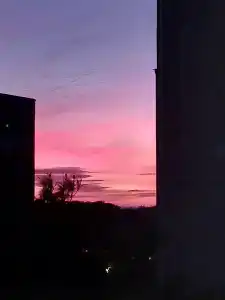 НаалА - 4