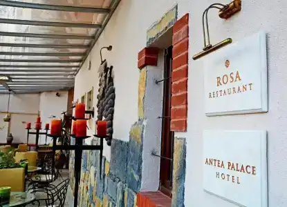 Antea Palace & Spa - 17