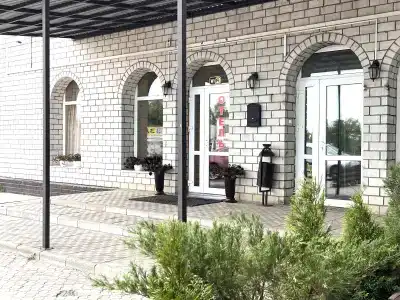 Ласточкино гнездо - 0