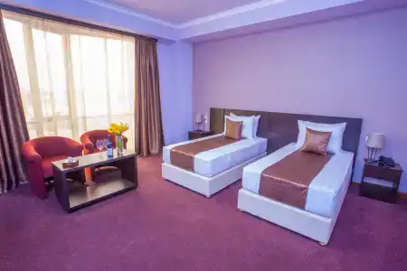 Ani Central Inn - 47